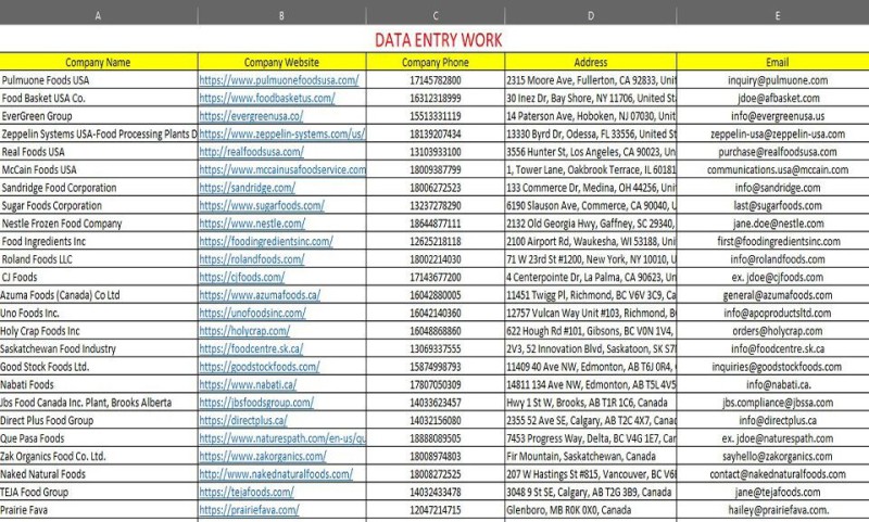 I will do any Data Entry, copy paste, Web Research, Excel Word, Lead ...