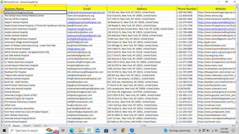 I will do any Data Entry, copy paste, Web Research, Excel Word, Lead ...