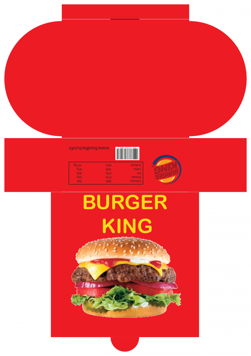 Packet Design Images Packet design by Ifty Ahamed | Truelancer