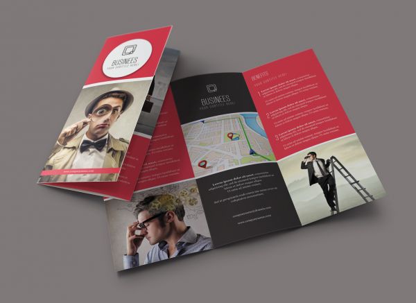 Professional Tri-fold Brochure Design