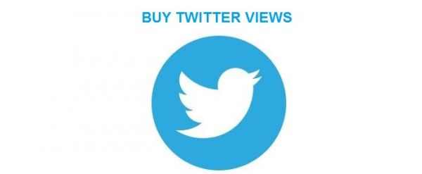 send you 2000 twitter video views