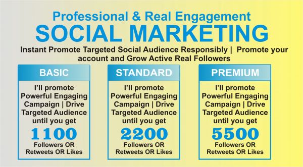 I Will Do Real Facebook Page Promotion