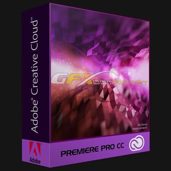 I will do video and audio editing using adobe premiere pro