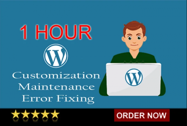 Provide 1 hour of customization | maintenance | updates | fixes to wordpress website