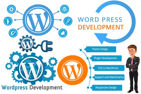 I will develop a high quality pro wordpress website 