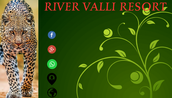 *A PROFESSIONAL BUSINESS CARD DESIGN for Resorts & Cottages in Forest Areas*  60% OOF