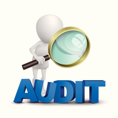 I will provide all types of AUDIT services with proper planning & preparations.