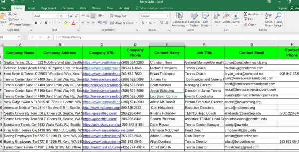 I will do targeted b2b lead generation,linkedin leads and web research
