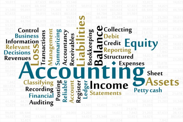 Financial Accounting, Budgeting