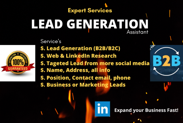 I will do b2b lead generation and niche targeted email collection