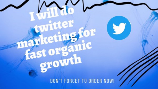 I will do twitter marketing for fast organic growth