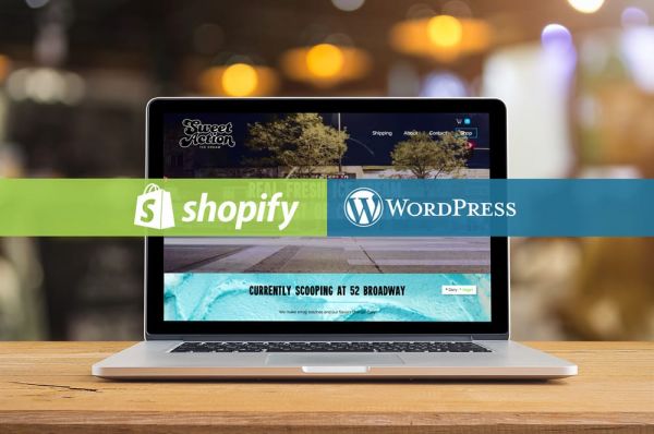 I will make website in Wordpress or Shopify or NodeJS, Responsive for all devices.