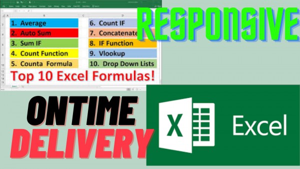 data entry in 24 hours pdf to excel converting