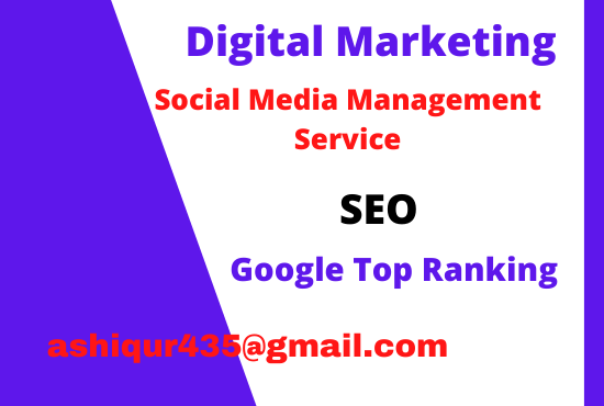 I will provide Digital Marketing and Social Media Management Service.