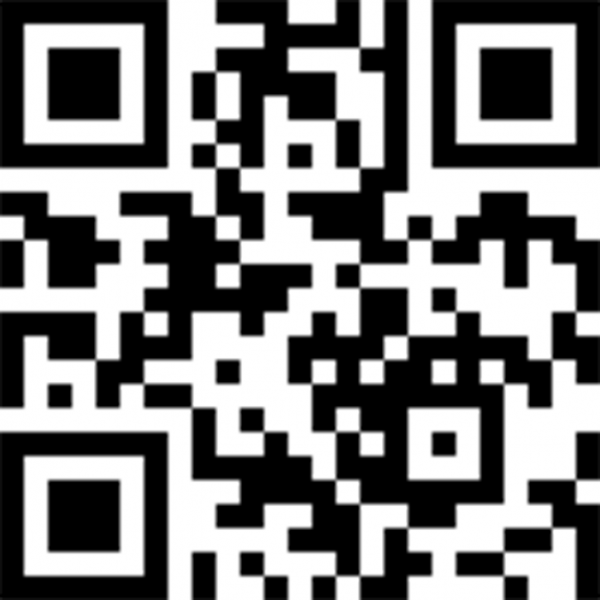 Professional QR code Quick Response code and Barcode with your logo and colorfull