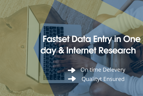 I will do fastest data entry in one day and internet research