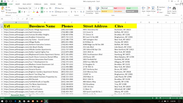 I will do Data Entry, Web Scraping, Email Scraping and lead generation