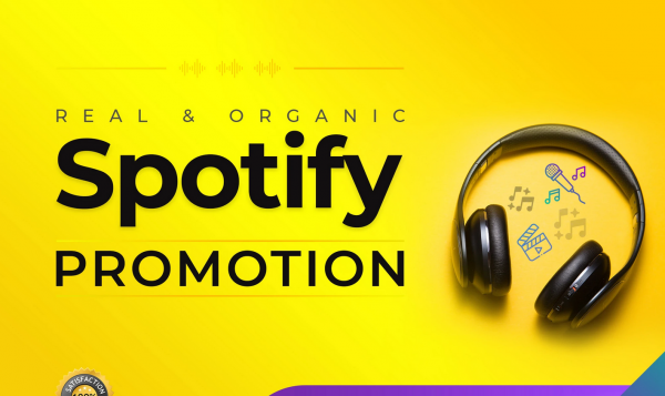 Organic Spotify Promotion   USA Streams