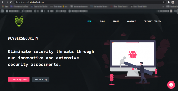 Web, Mobile and blockchain VAPT  CYBERSECURITY 
