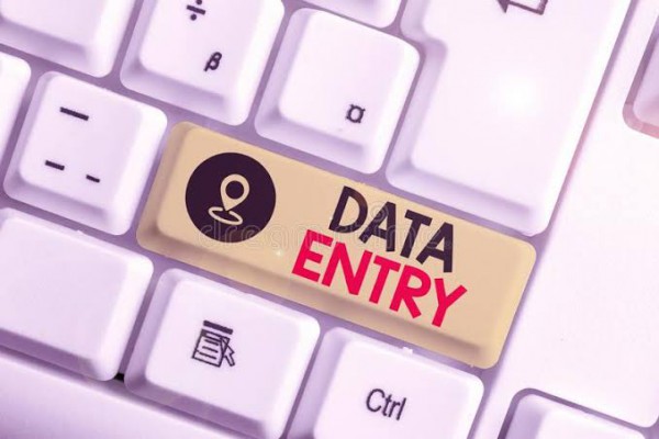 I can do your data entry, error free and 99.9% accuracy.