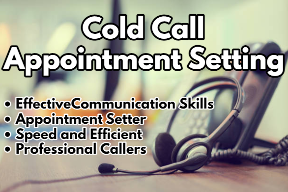 I will provide you expert cold calling service