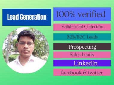 Lead Generation/Email Marketing