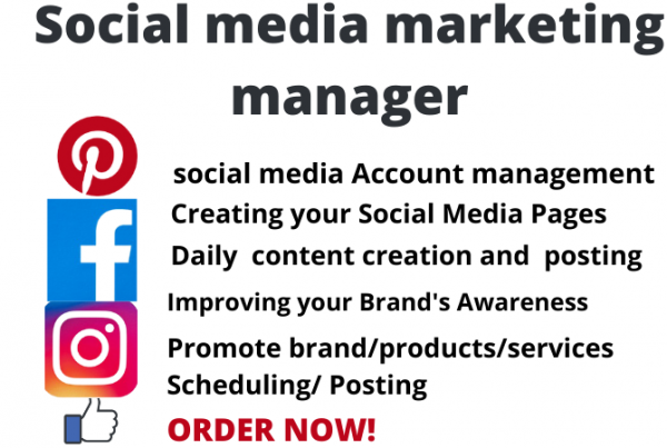I Will Be Your Professional Social Media Marketing Manager And Personal Assistant