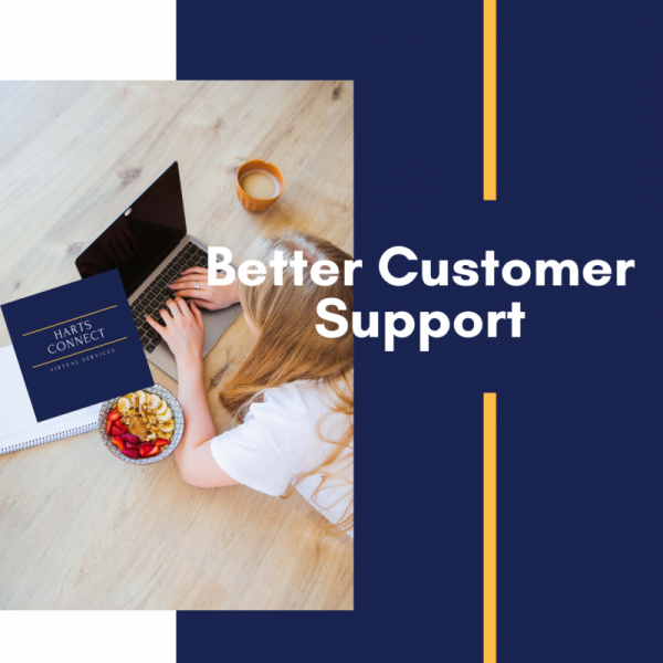 Social Media Management / Basic Graphic Design / Customer Service
