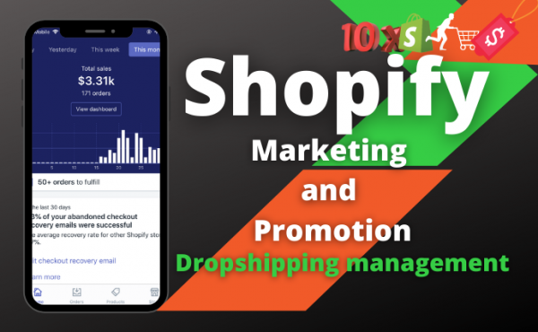 shopify dropshipping management shopify marketing promotion USA web traffic