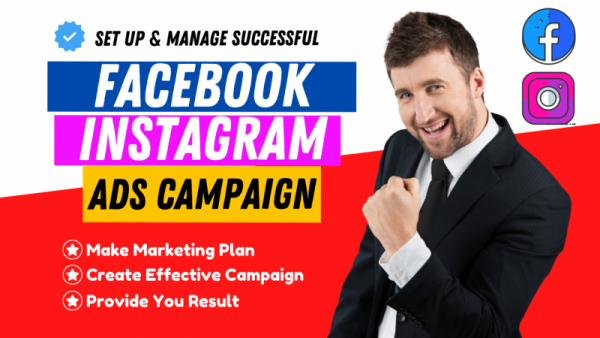 I will create the perfect facebook and instagram ad campaign
