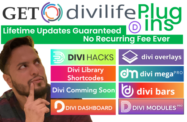 I will install divi life plugins to your wordpress site