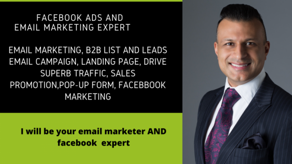 I will be your facebook ads manager, email marketer, landing page, email automation