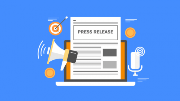 I will provide professional press release writing