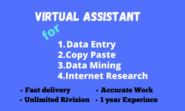 I will be your virtual assistant for excel and google sheets