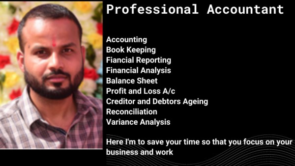 I will be your accountant and data analyst