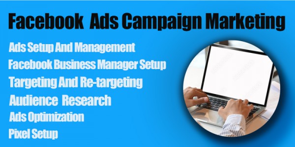 I will manage your Facebook and instagram ads campaign