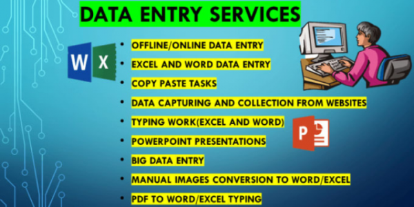 Data Entry Excel, Website, Software Data Entry . Any Data Entry I will Do
