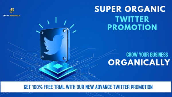 I will do twitter marketing, grow nft related followers and post tweets
