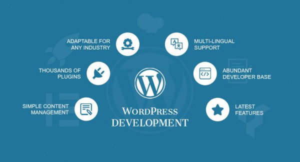 Website Development