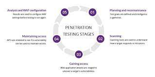 I Will Do User Tasting Of Your Website