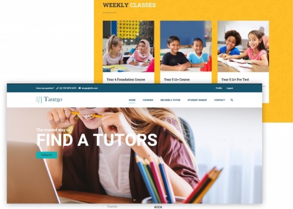 Do a Professional Educational website within a 2 days