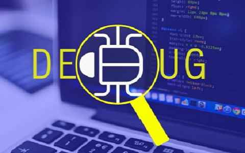 Website or Program Auditing for speed and bug identification and resolution