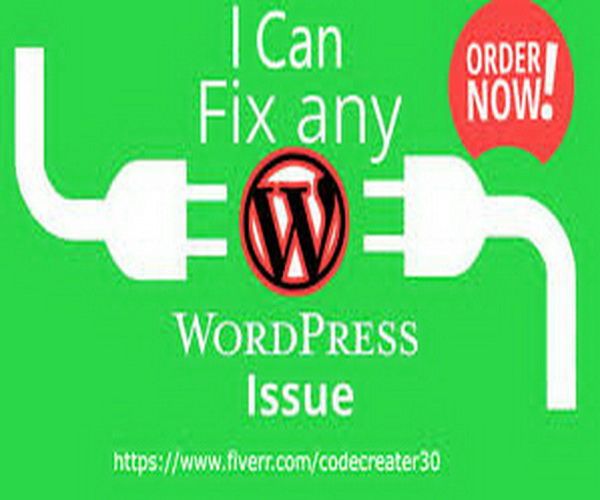  GET ANY WORDPRESS ISSUE /PROBLEM FIXED