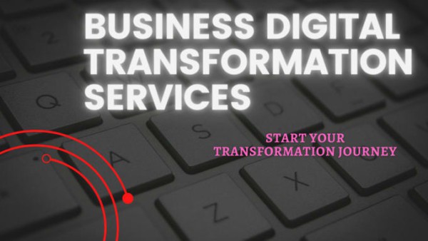 I will help you to transform your business digitally