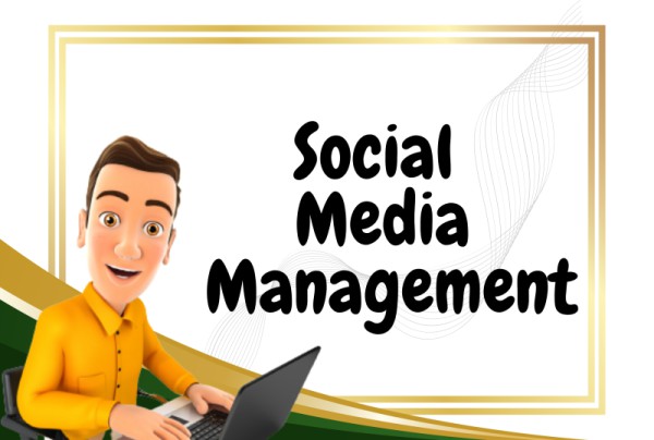 I will be your social media manager, content writing and posting