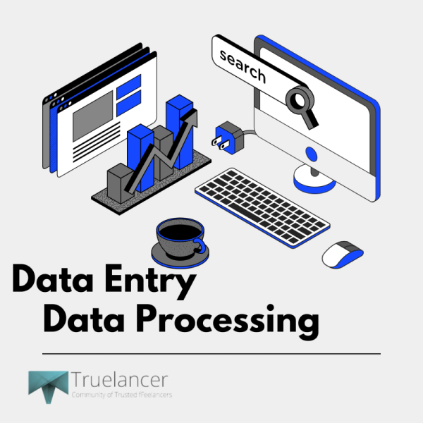 I Will do data extraction and data mining with data entry