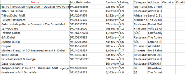 Dubai Business Places full Database