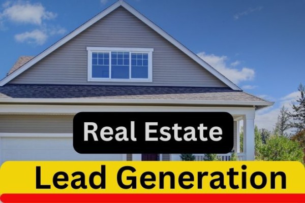 I will do 100 b2b leads, real estate home owner, investor agent broker loan officer