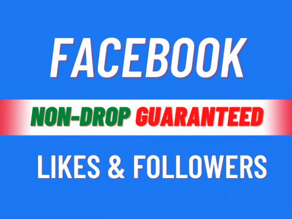 You will get Facebook Likes and Followers Non Drop Guaranteed