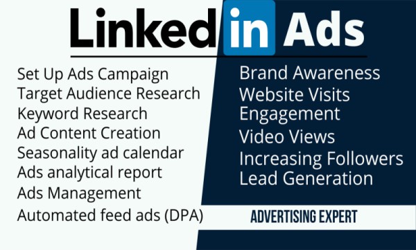setup and optimize your LinkedIn ads campaign & insight tag with conversion tracking